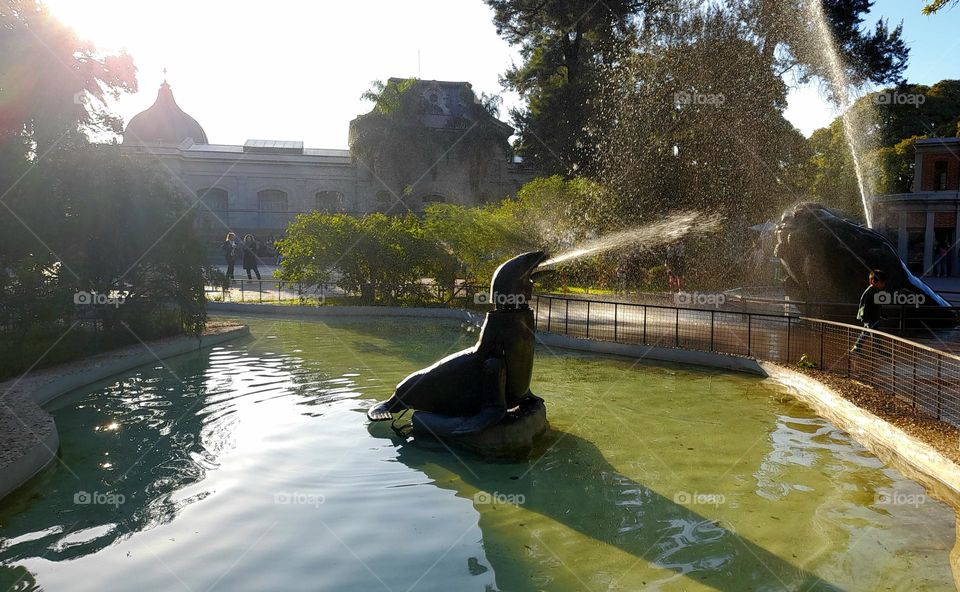 Fuentes de agua inesperadamente maravillosas en la ciudad.
