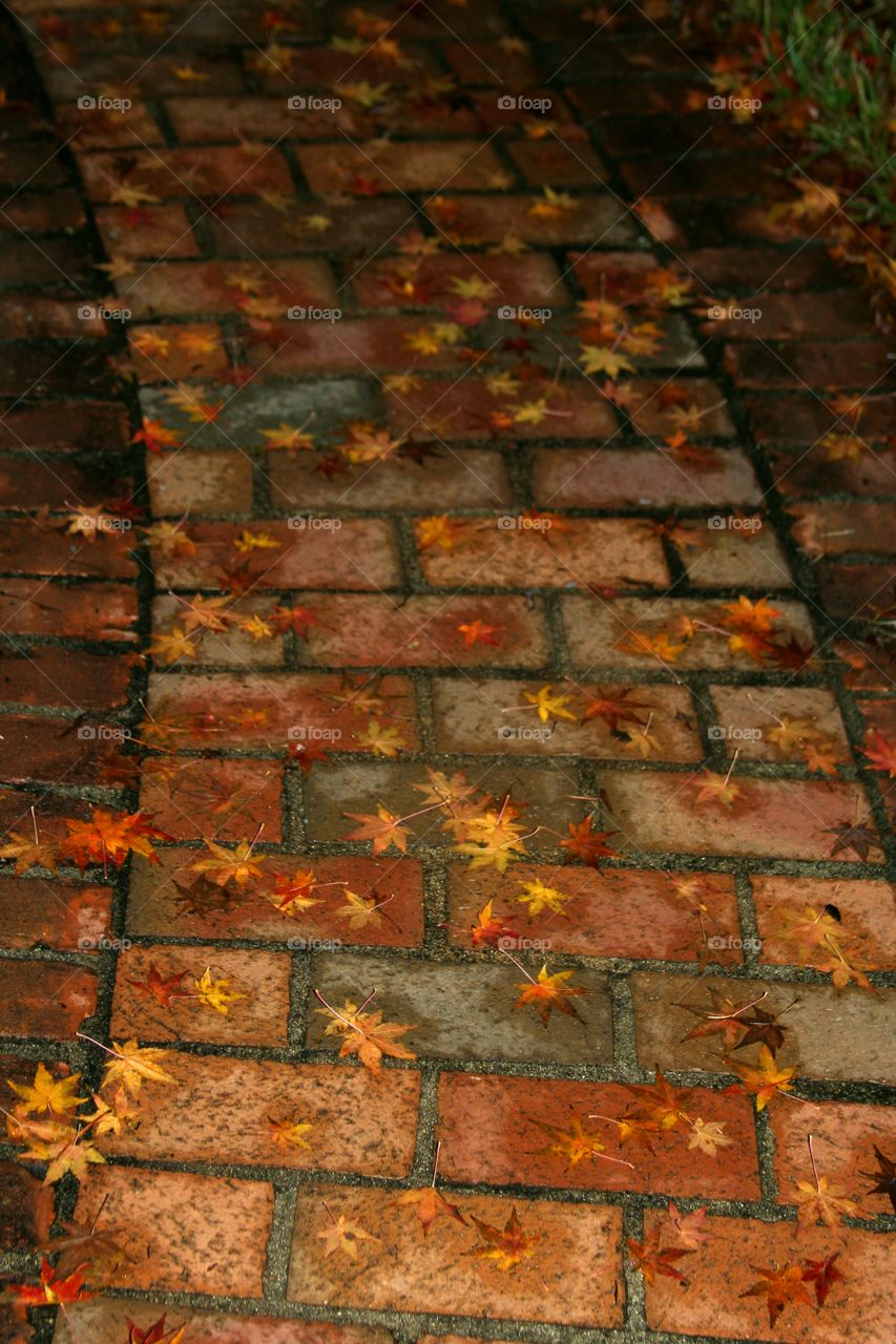 brick walkway with scatteted autumn leaves