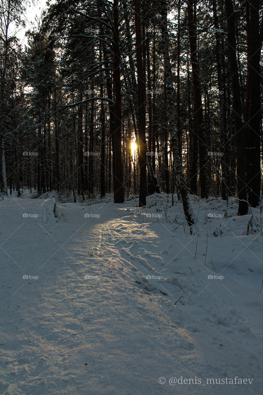 Walk in the Shuvakish park