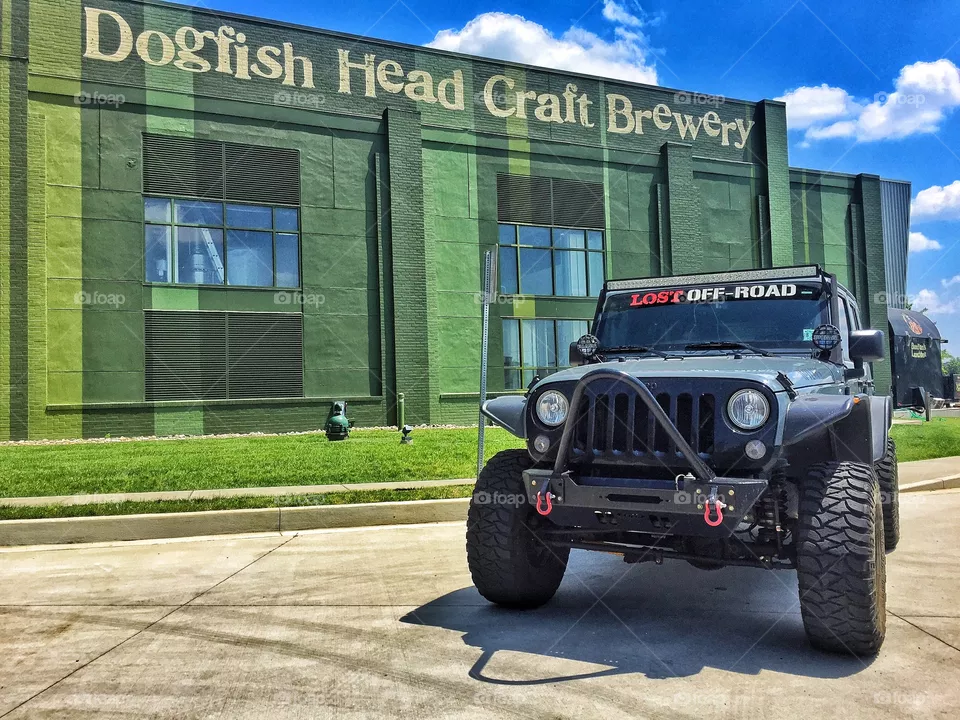 Dogfish