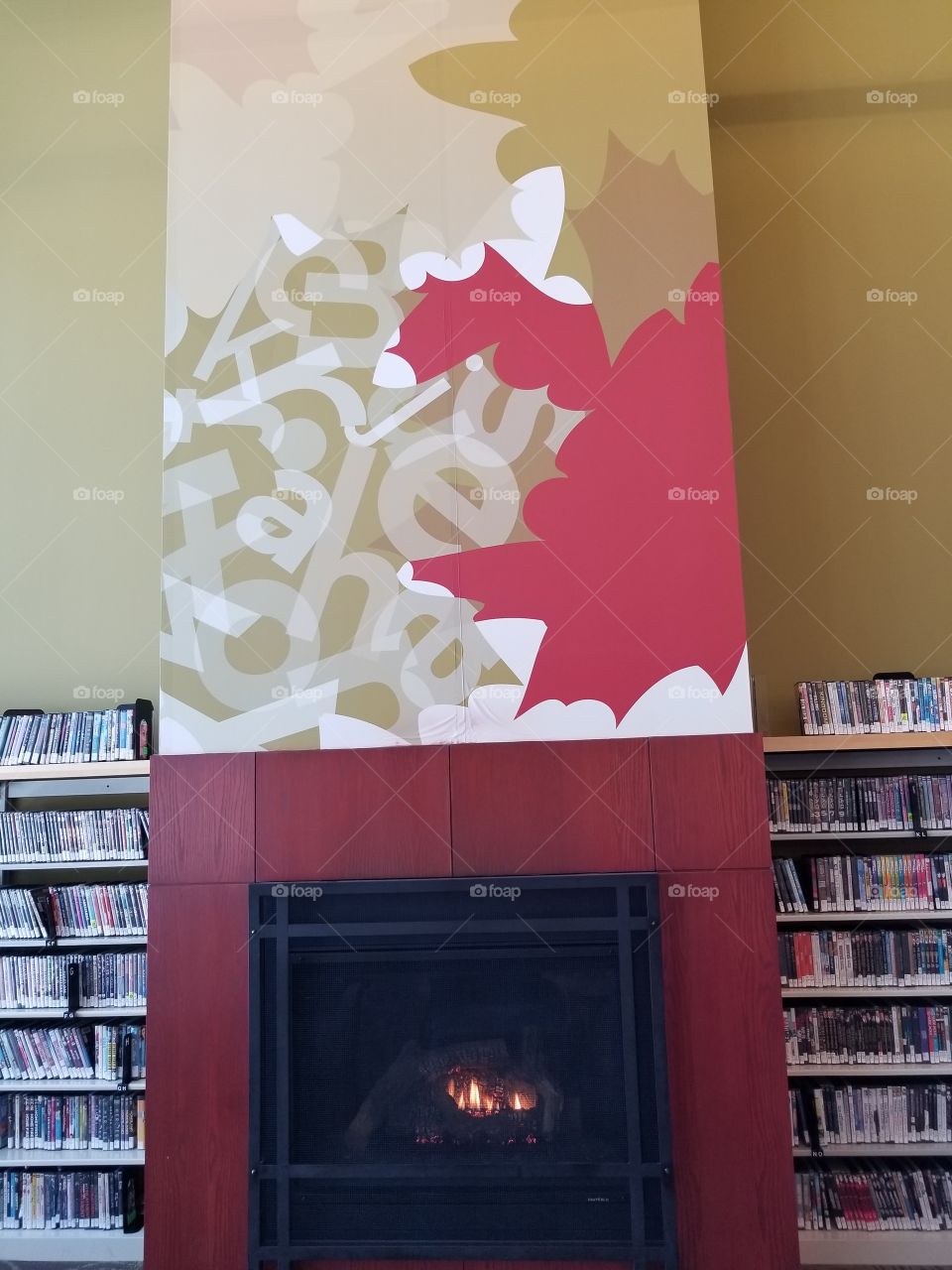 Library fireplace