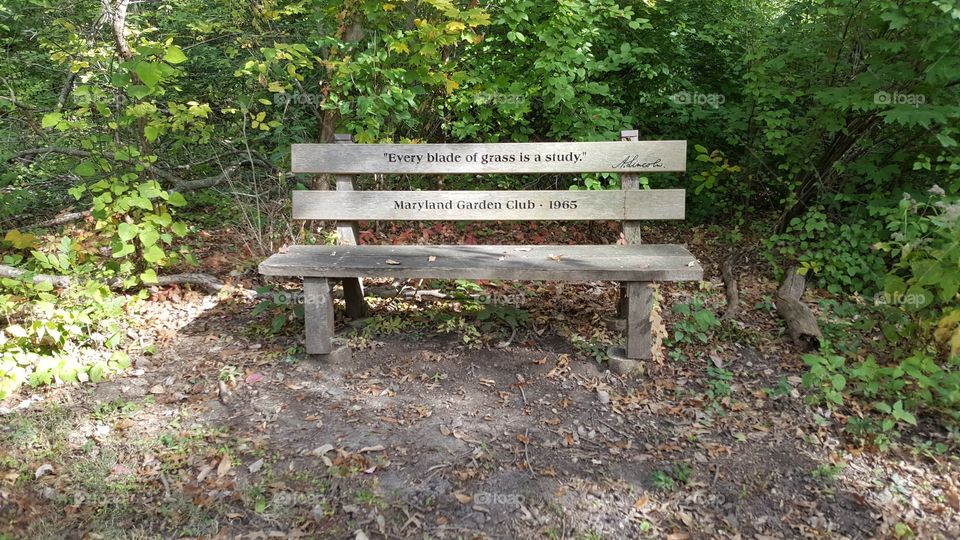 a bench with an inscription of one of Lincoln's famous quotes, at the Abraham Lincoln Memorial Gardens