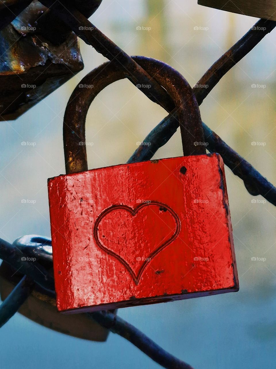 red lock like the leaves of the trees in autumn