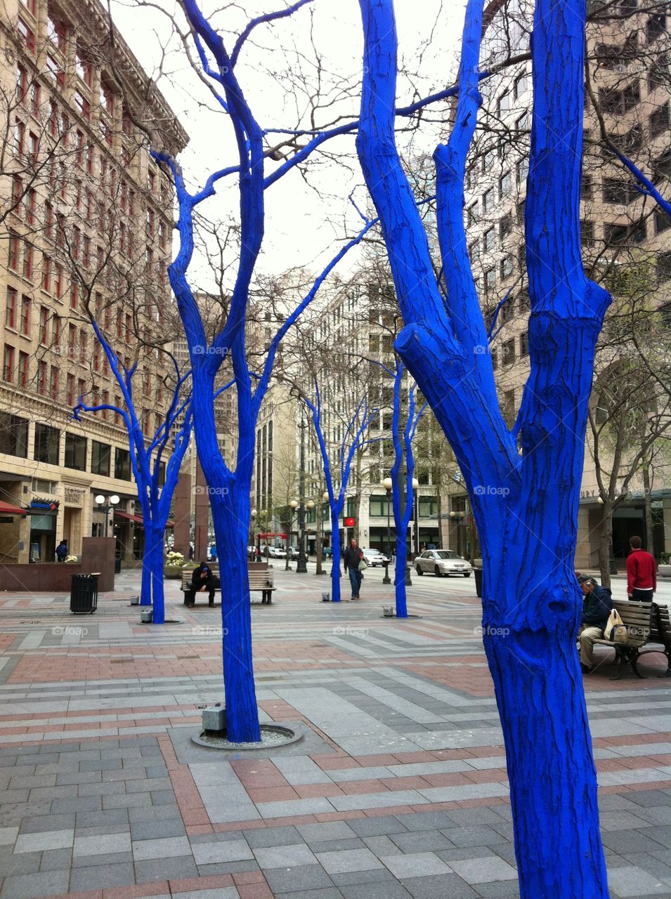 Blue trees