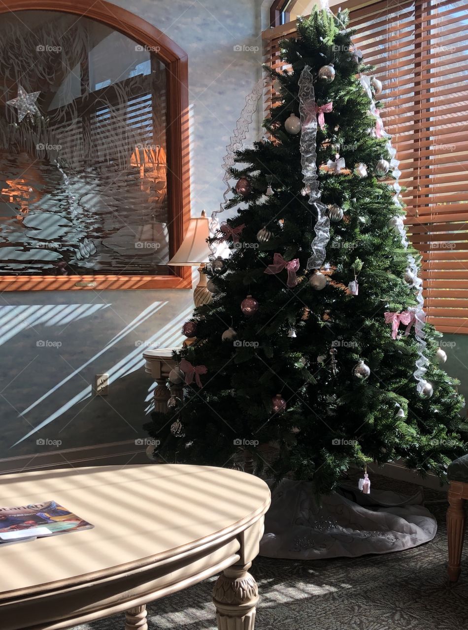 Sun streaming through blinds with Christmas tree