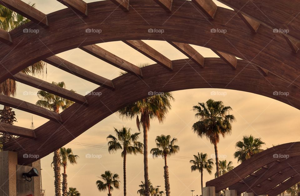 Beautiful view, palm trees.