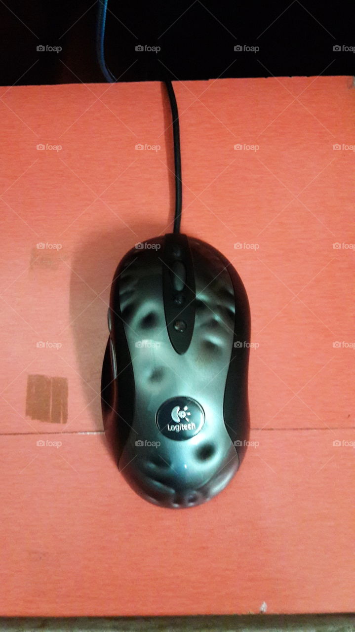 mouse