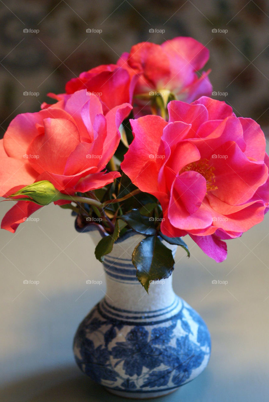 flowers garden flora home by lgt41