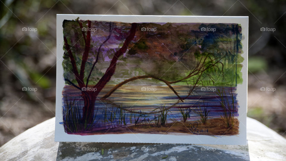 Reflection of tree trunk in water - struggle continues.