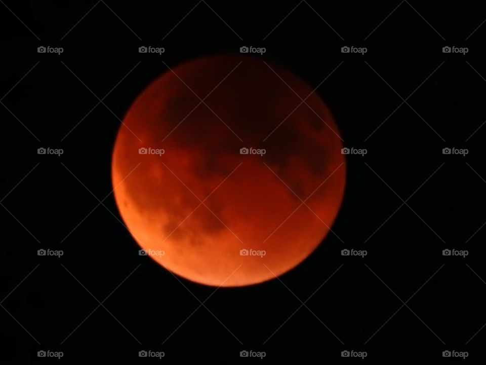 Blood moon