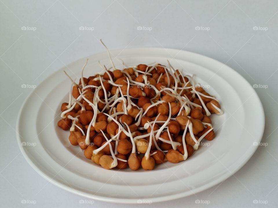 Plate of Bengal grams sprouts. Also called Kala Chana, they are a kind of beans.