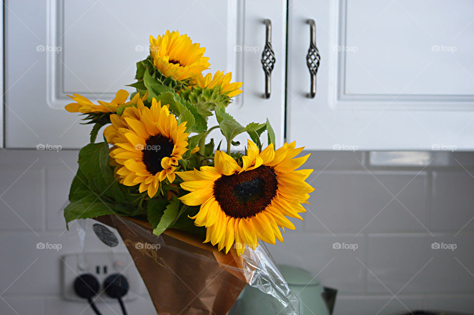 Beautiful yellow sunflower in a vase shining in the sunlight giving a positive vibe and blooming up the kitchen 