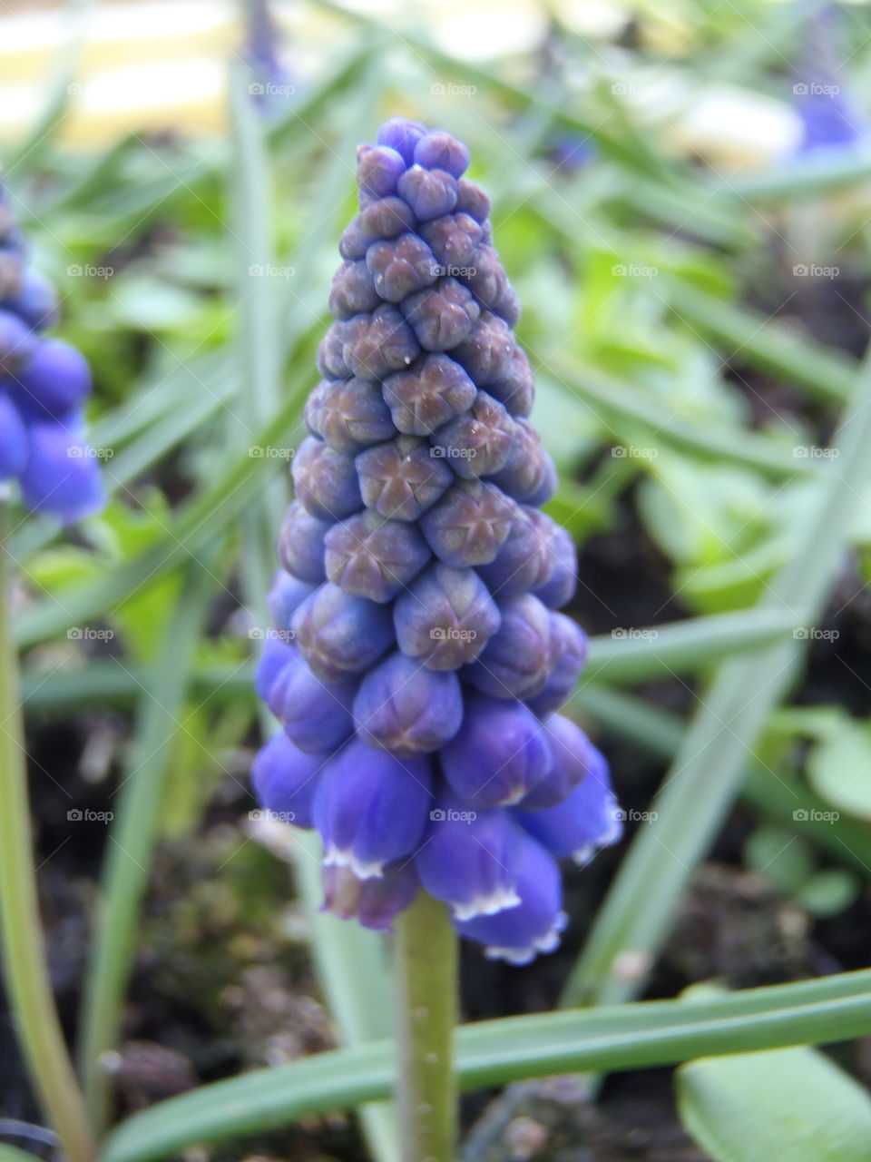 Brightening my kitchen window view