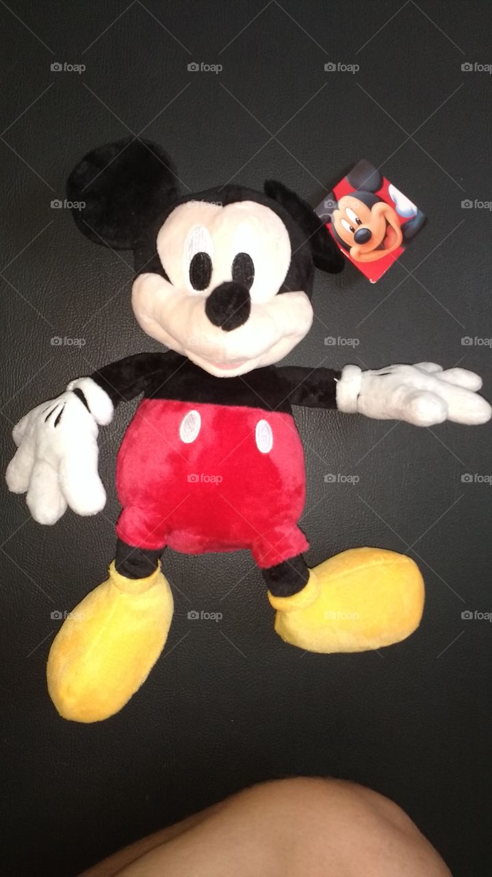 Mickey mouse