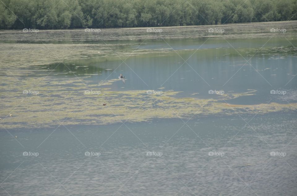 Lake, Water, Landscape, River, Reflection