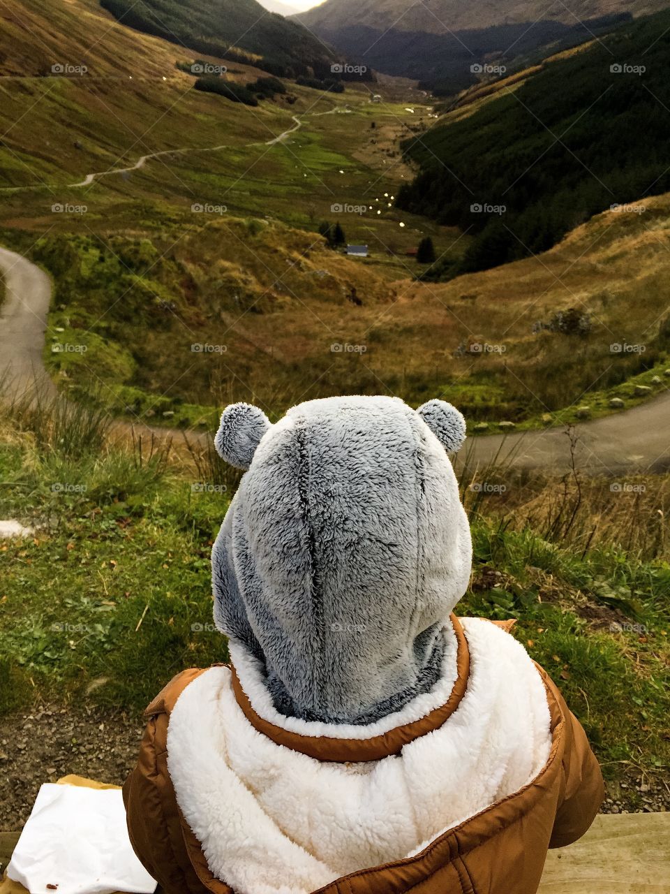 High angle view of bear costume