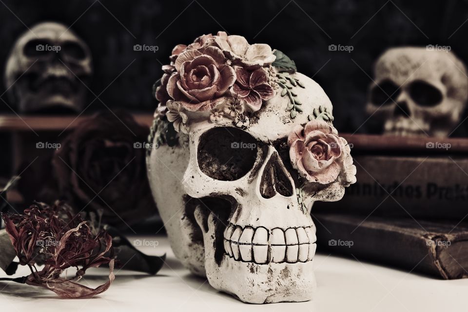 Skull and roses in an antique scenario