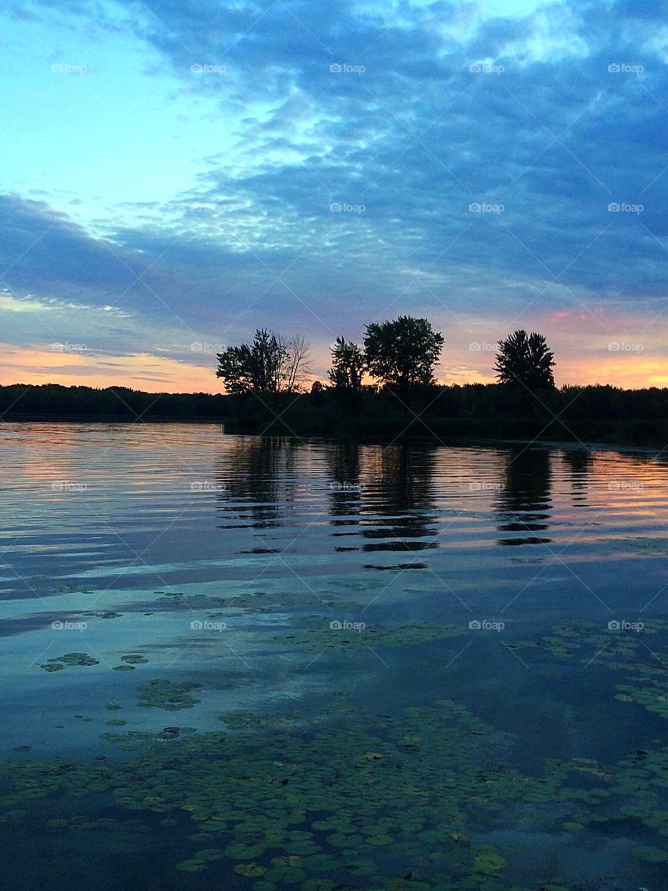 Sunset and trees reflections 