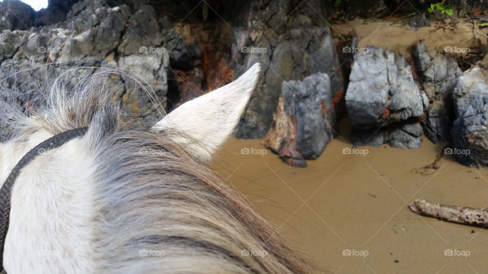 Horseback to the rocks