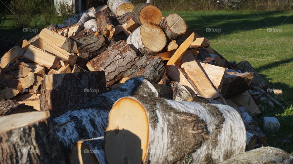 Tree Log, Wood, Firewood, Tree, Log