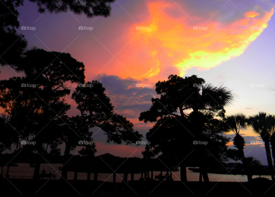 Floating good. A golden cloud over the bayou