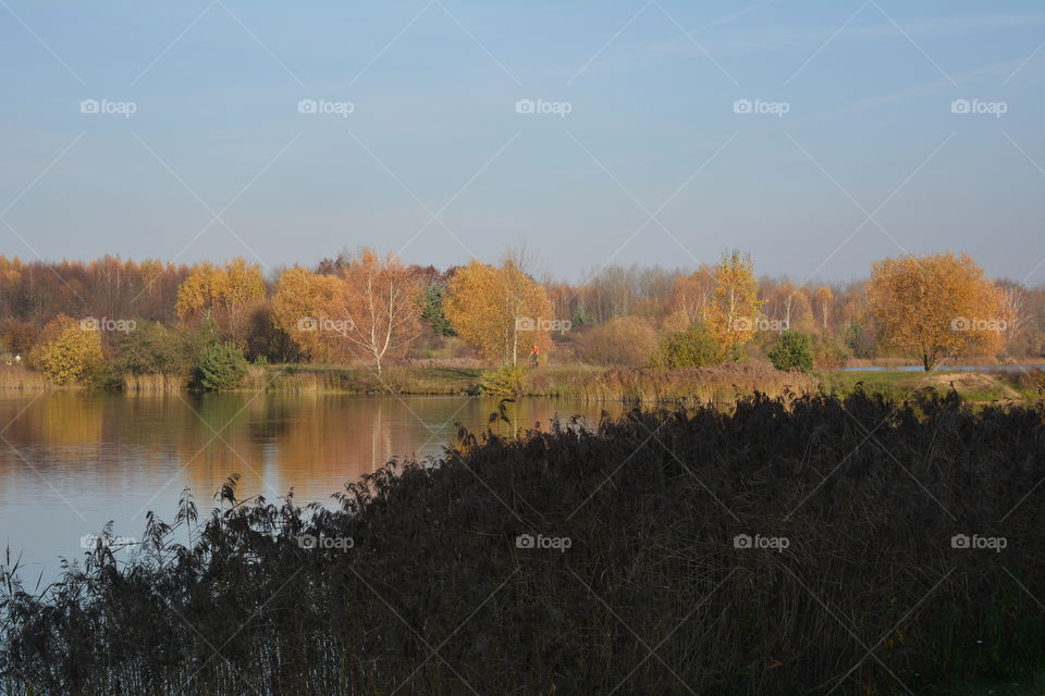 lake beautiful nature landscape autumn time blue sky background