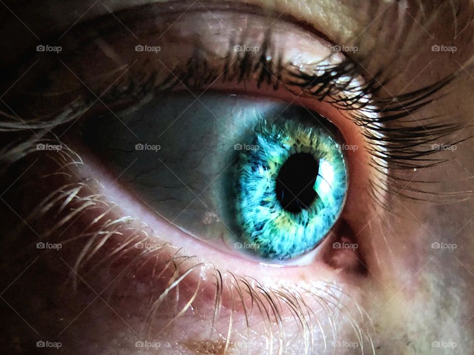 Macro of the human eye.