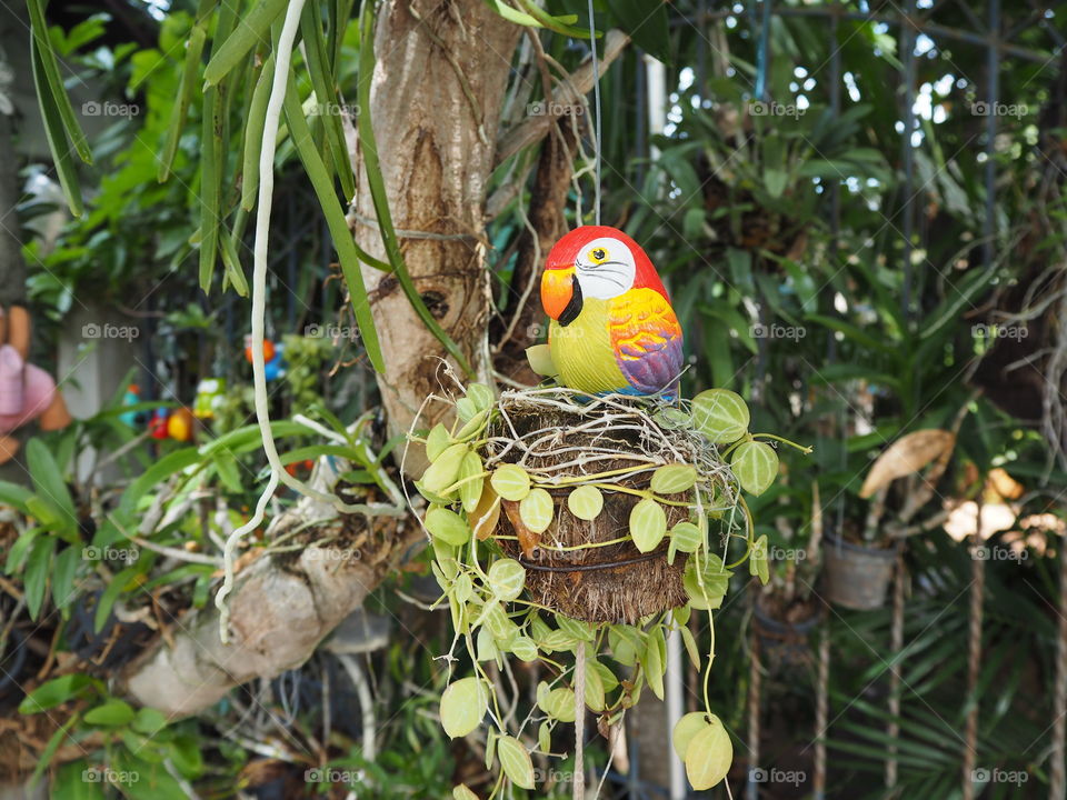 Bird, Tropical, Nature, Parrot, Exotic