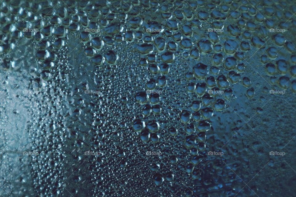 Macro photography inside of water tank 