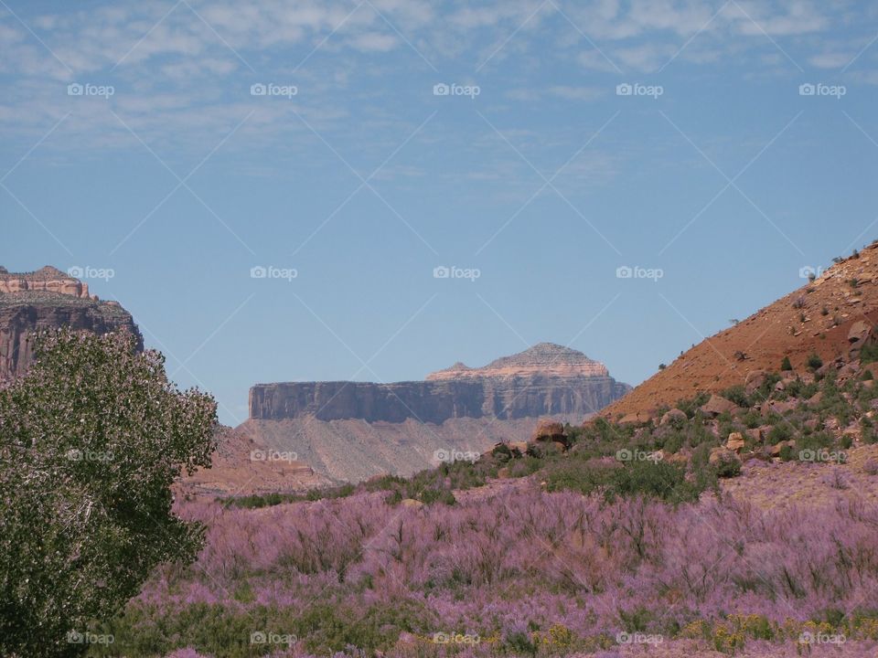 Monument valley 