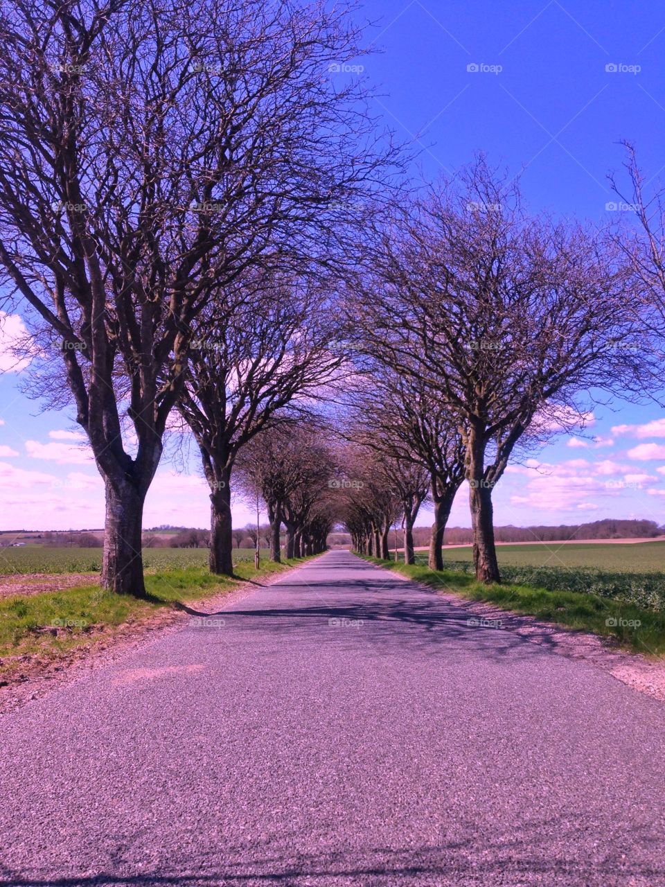 Road