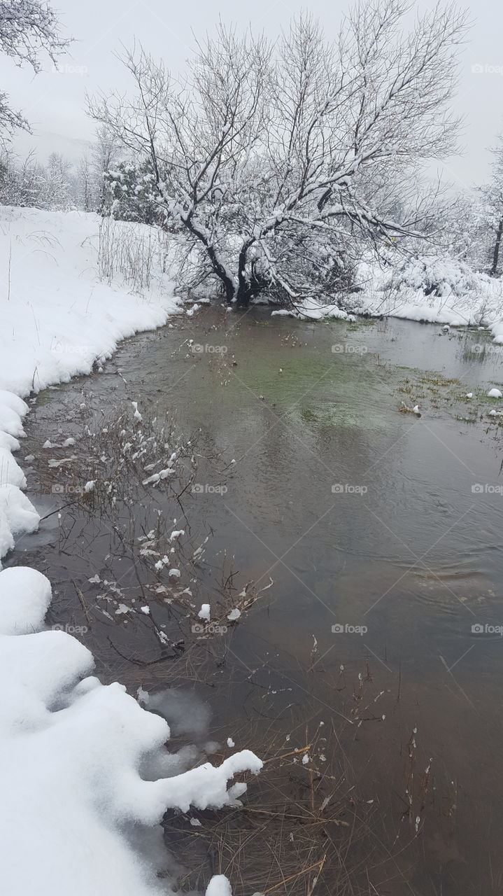 Seasonal creek at the bottom of my driveway.