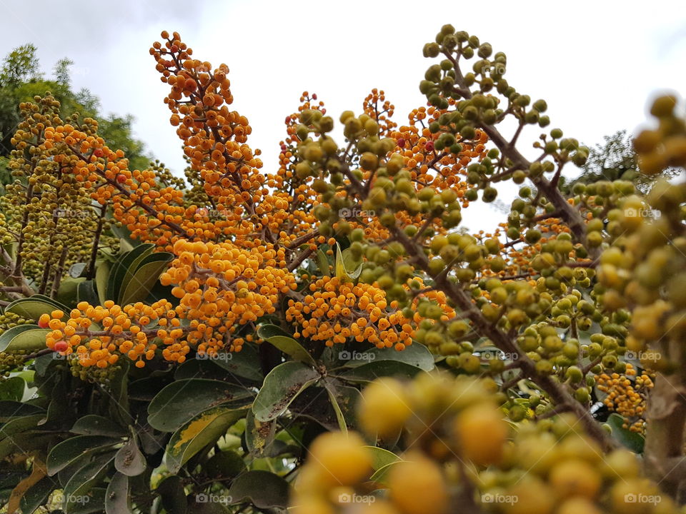 nature is amazing, it calms you