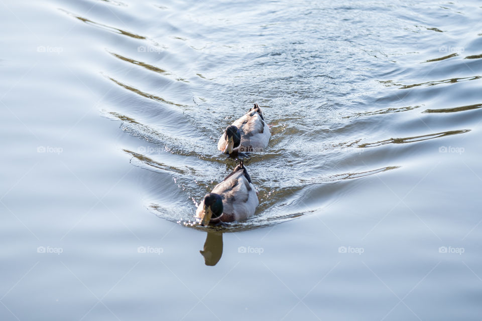 Water, Lake, Reflection, Sea, River