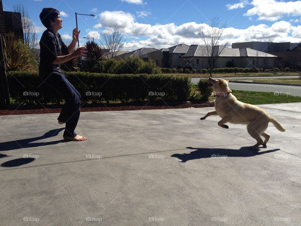 child dog fun playing by splicanka