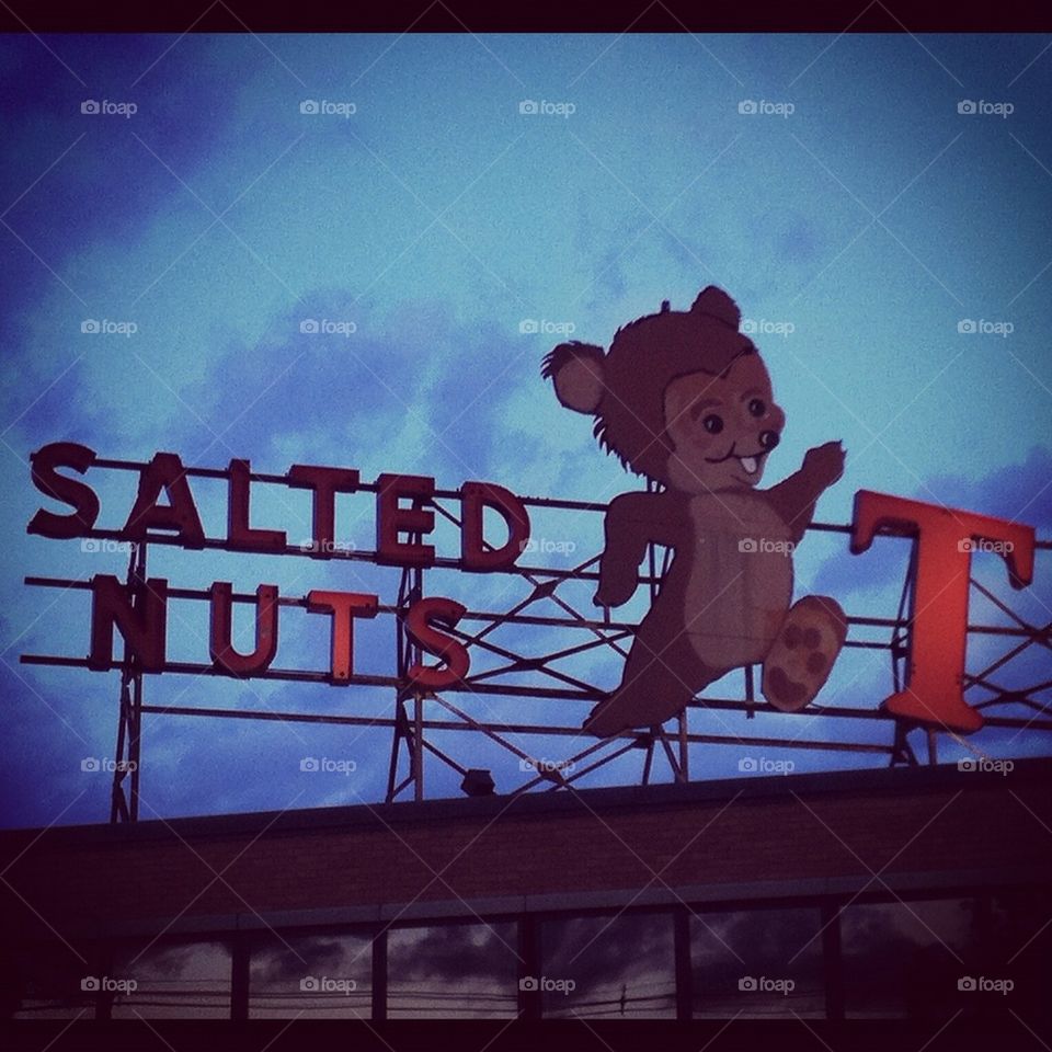Salted nuts bear