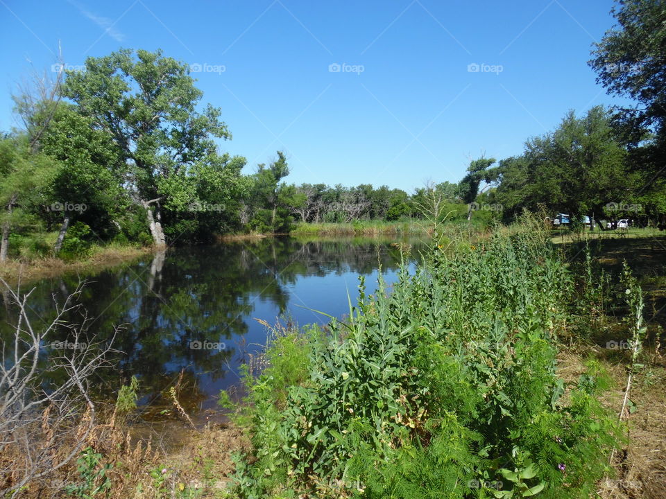fishing pond #2. this is another view of a private hole