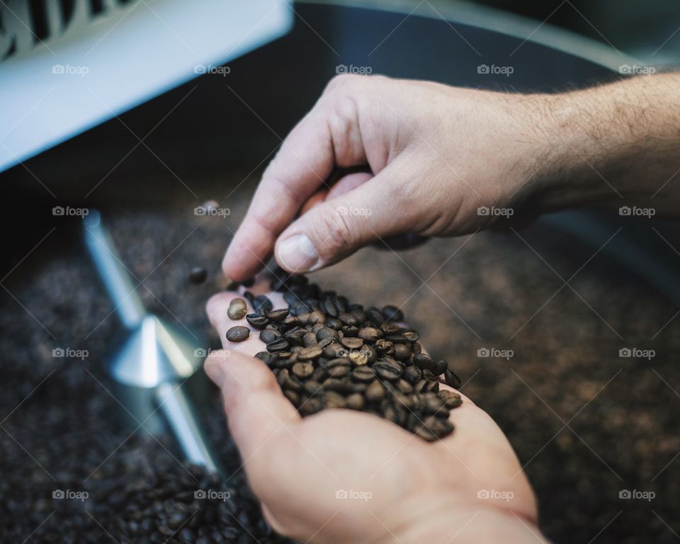 A man with a pile of coffee beans is sorting out bad beans while roasting coffee.