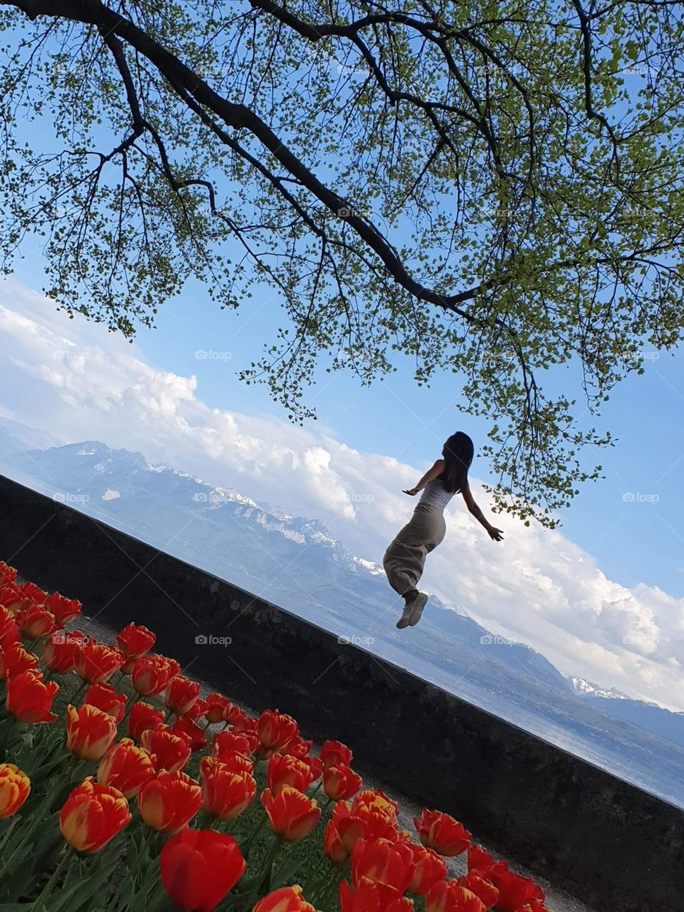 Sou nova aqui , estou me aprendendo estou disponível a curtir suas fotos , não sei como funciona para seguir as pessoas.