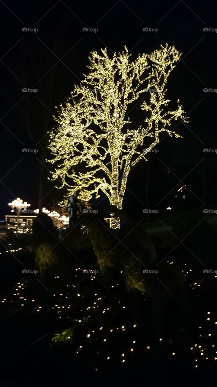 sweden tree liseberg lights by leta