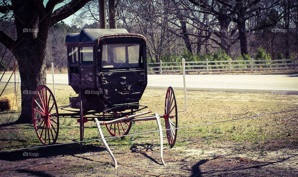 Old Horse Buggy