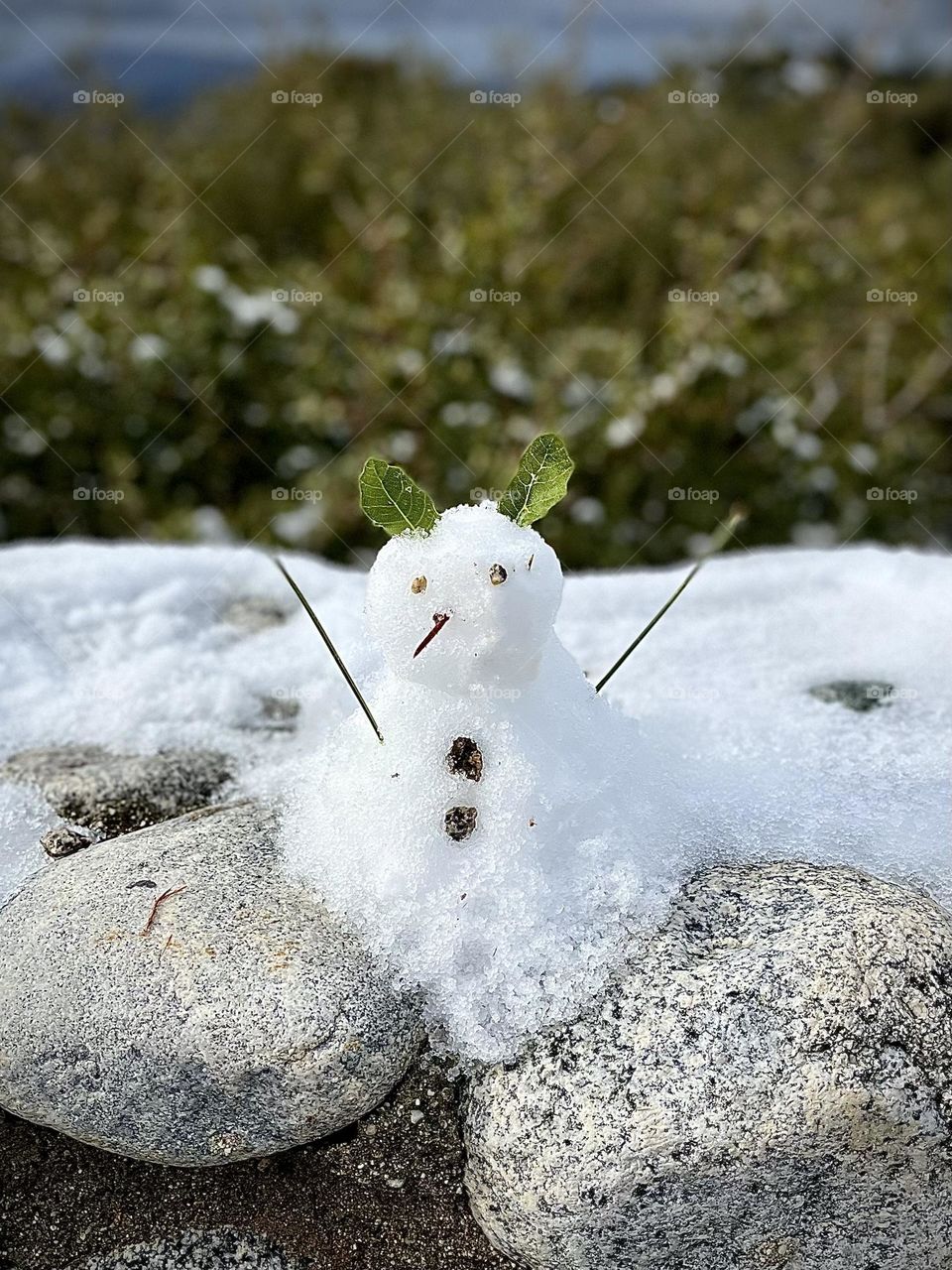 Little Snowman
