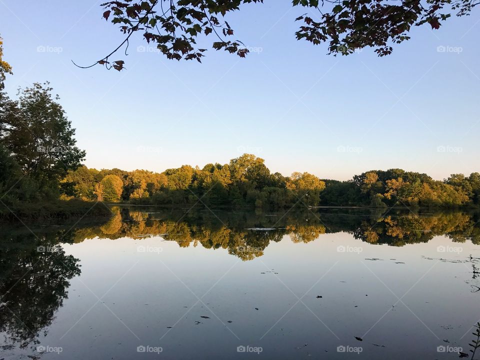 Autumn reflections 