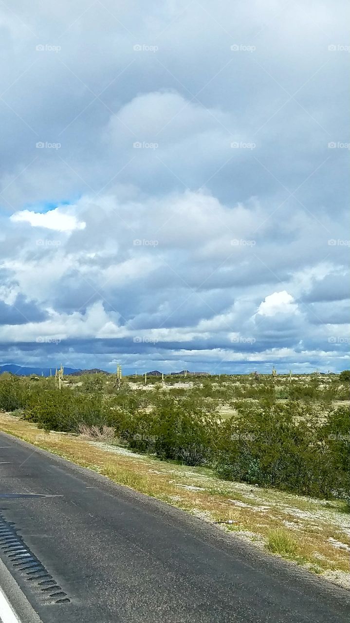 stormy day in the desert