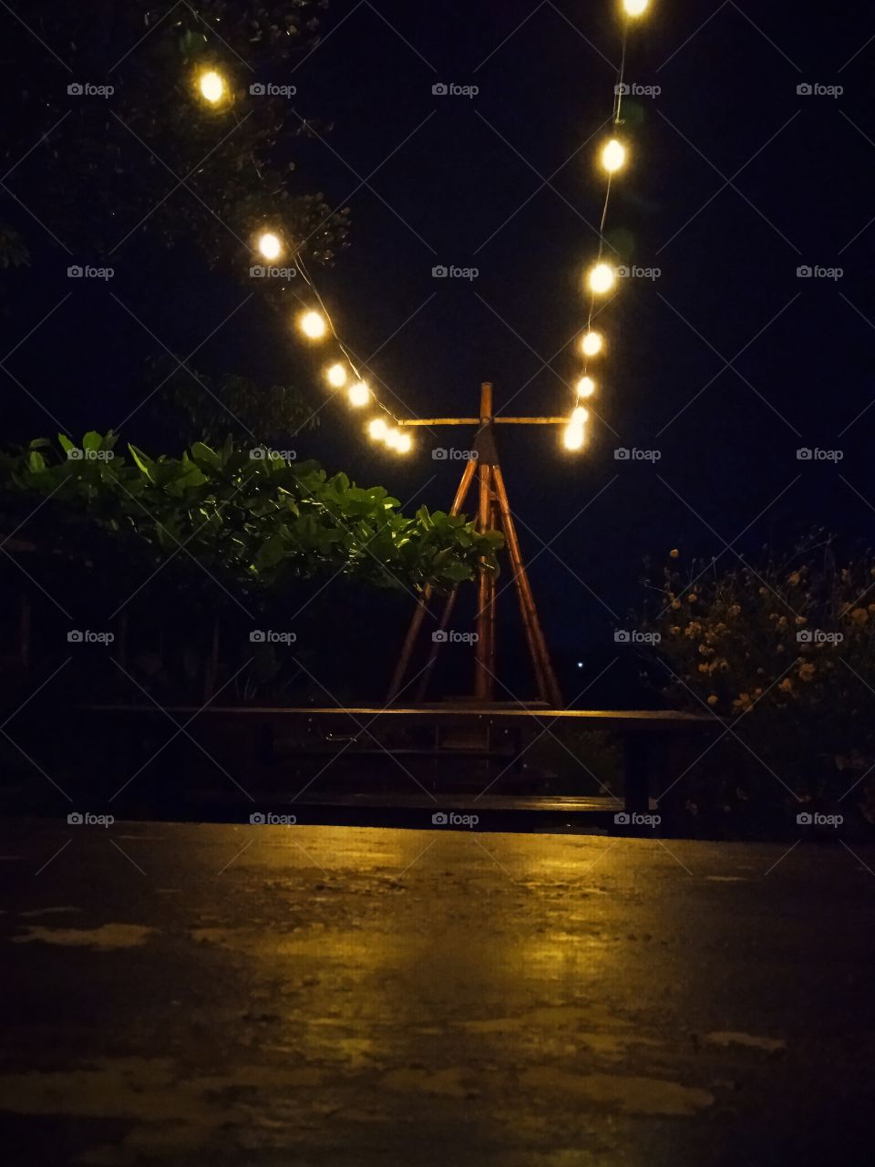 light has its own way to cheer up the night from loneliness