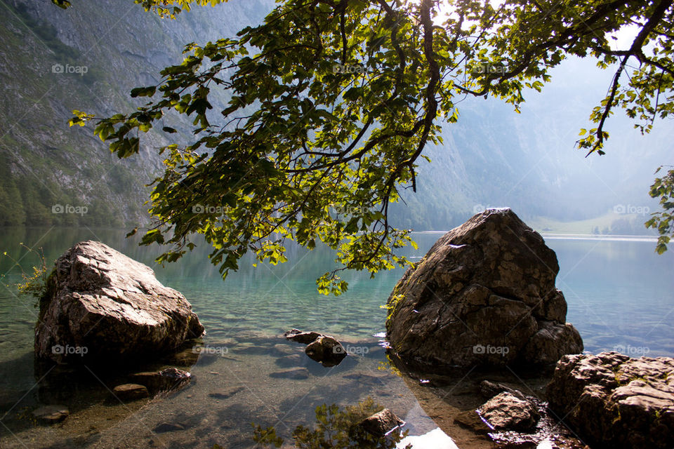 Obersee