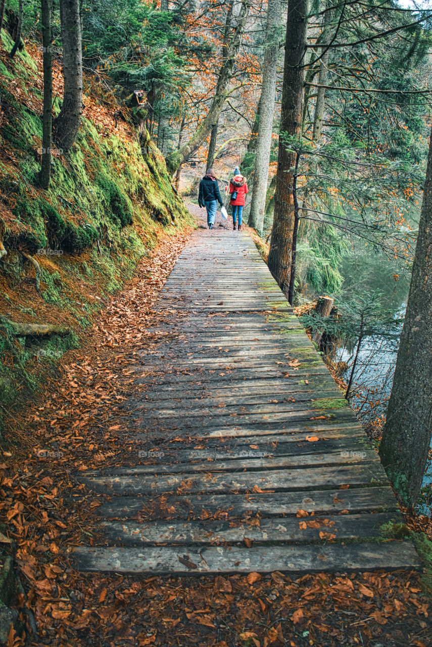 Beautiful autumn nature walk