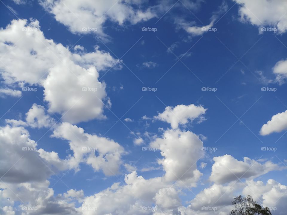 BBB.When Nature effect on my Eye's _Then output is look like ..Peace & Wonderful__^,.