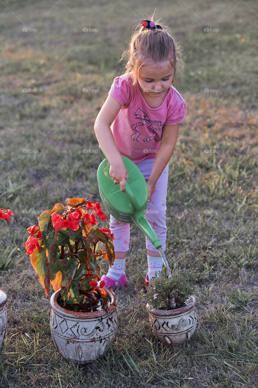 Watering the flowers growing in flower pot, pouring water from green watering can, working in backyard at sunset. Candid people, real moments, authentic situations