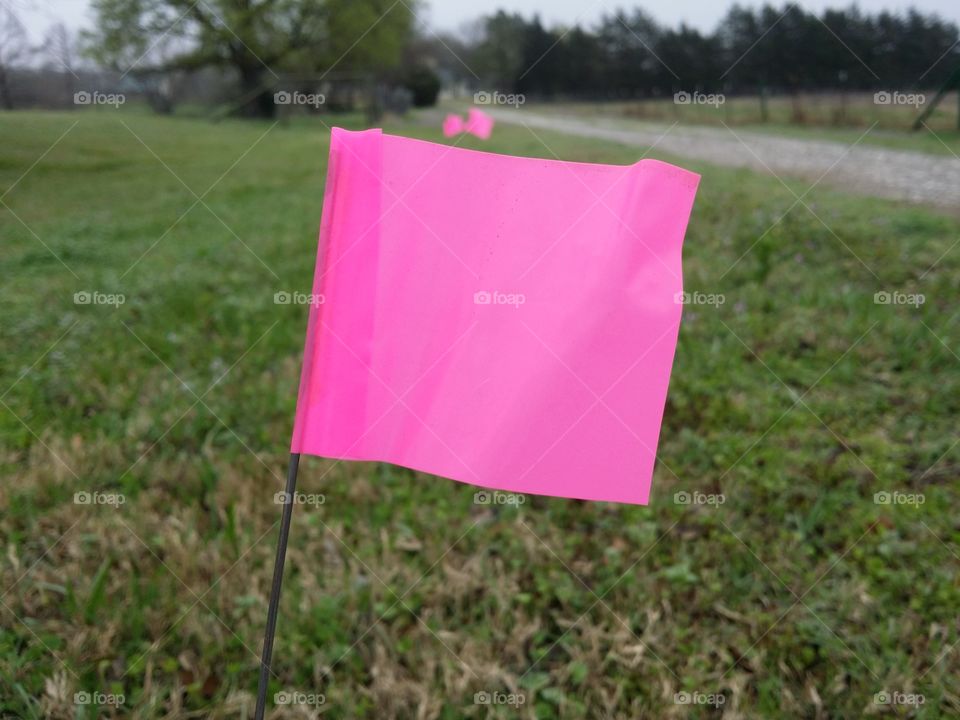 Pink Marking Flags